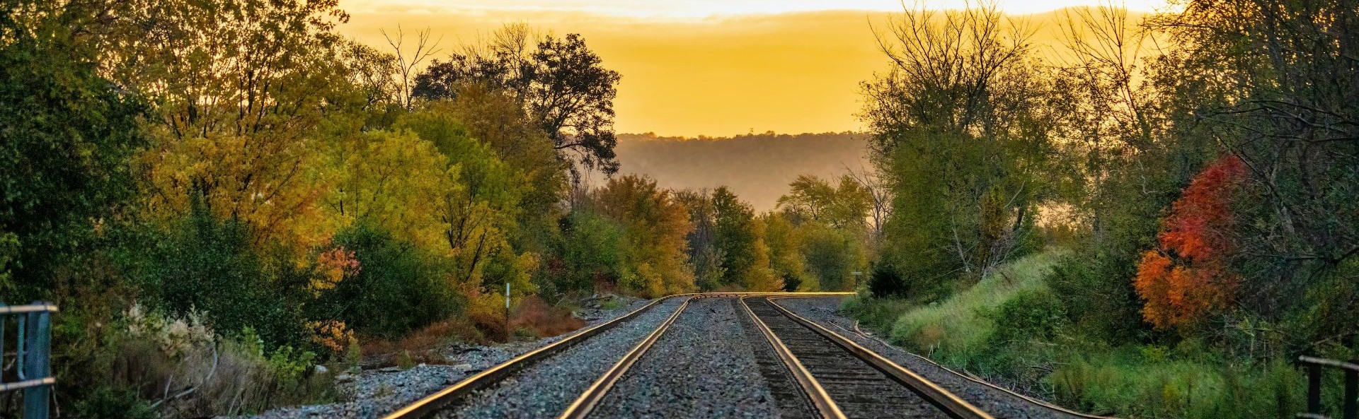 Railway Lines between trees