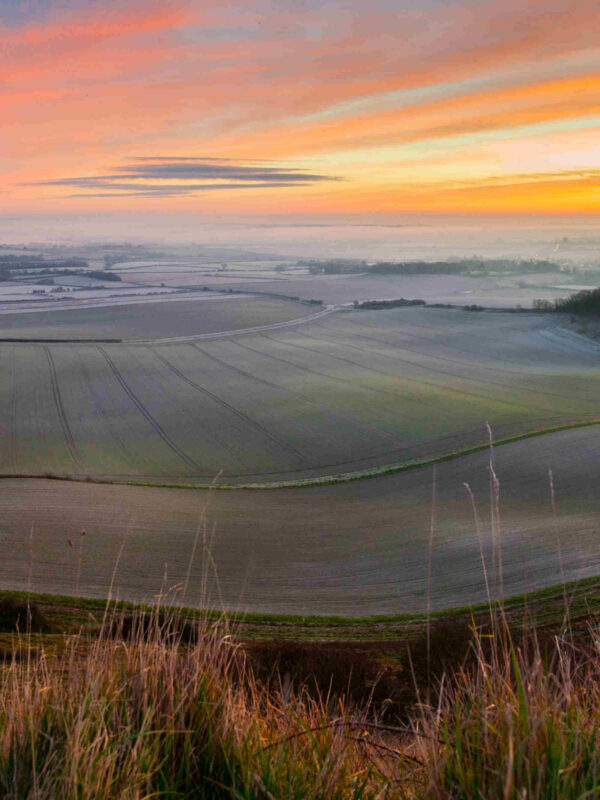 Farming in Firle landscape on the Firle Estate