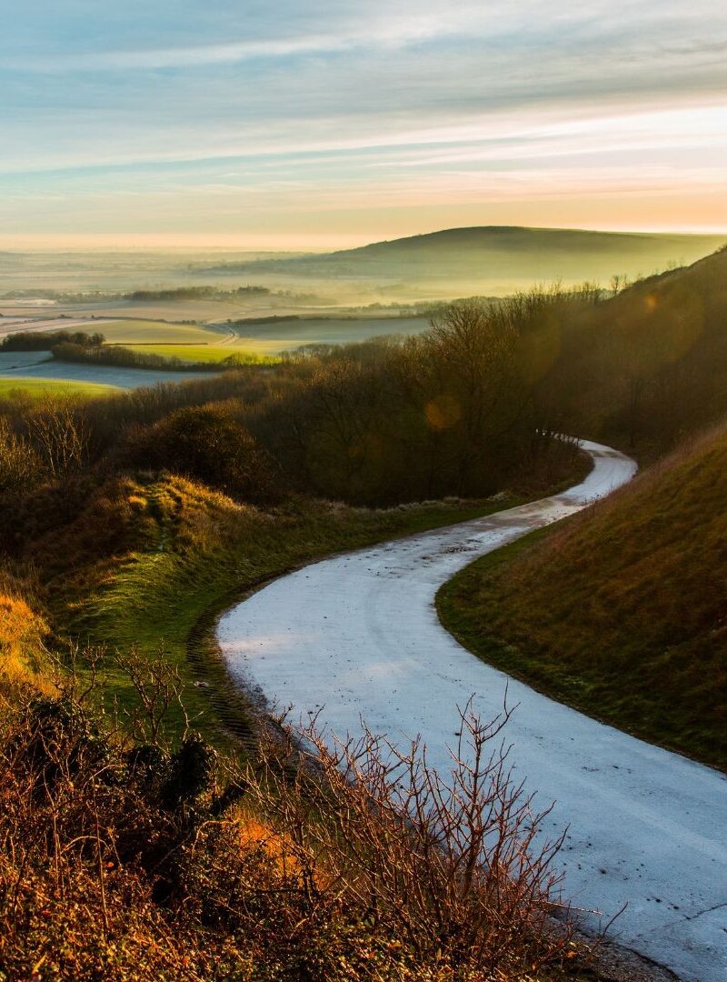 A road on Firle Estate