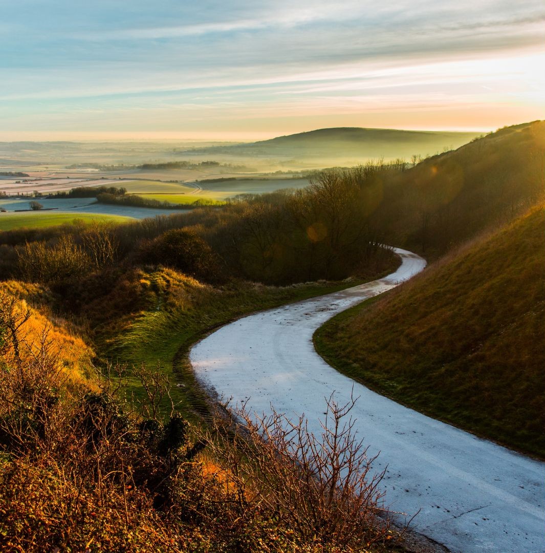 A road on Firle Estate