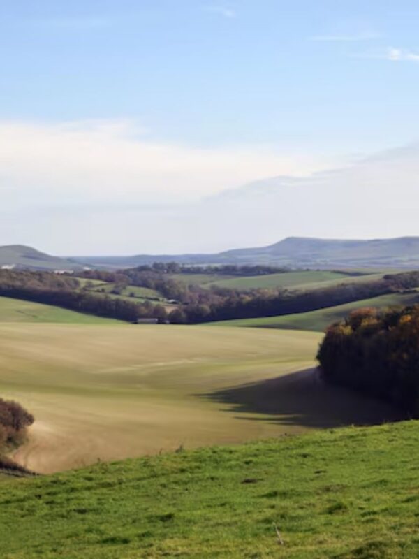 Shepards-Cottage_View-across-the-Estate