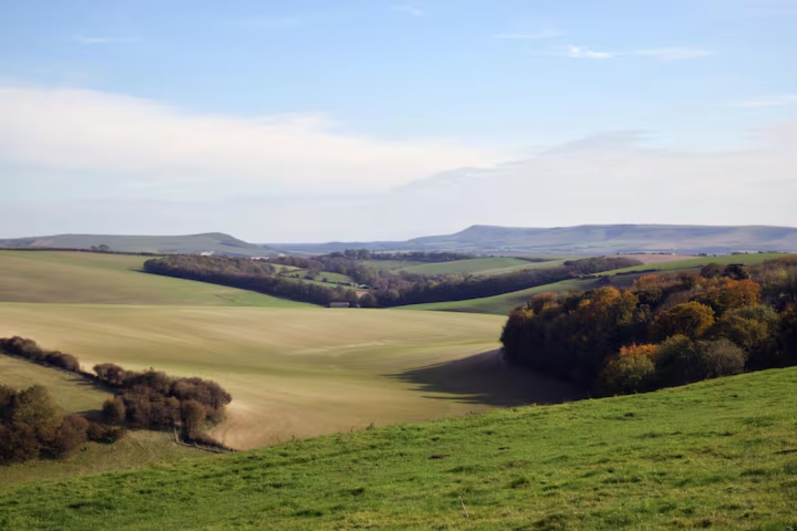 Shepards-Cottage_View-across-the-Estate