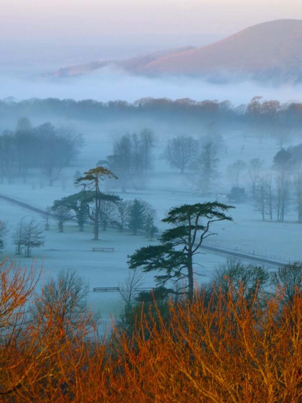 View Across Firle Park in Winter
